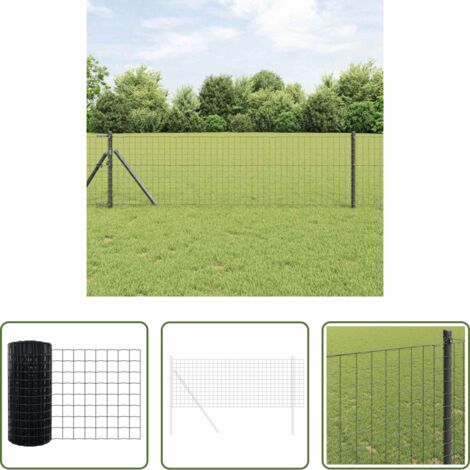 vidaXL Recinzione in PVC - Recinzione Euro Grigio 0,8 x 25 m Ferro rivestito in PVC
