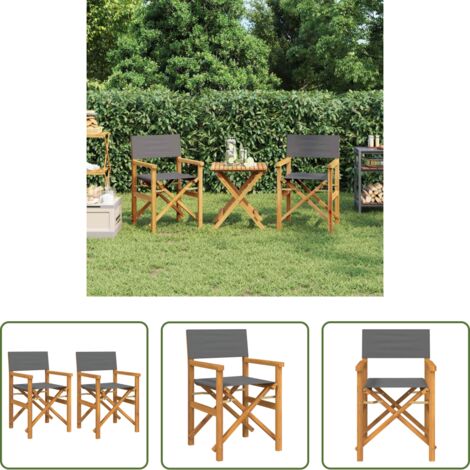 vidaXL Sillas de camping -  Sillas de director plegables 2 unidades madera maciza teca gris