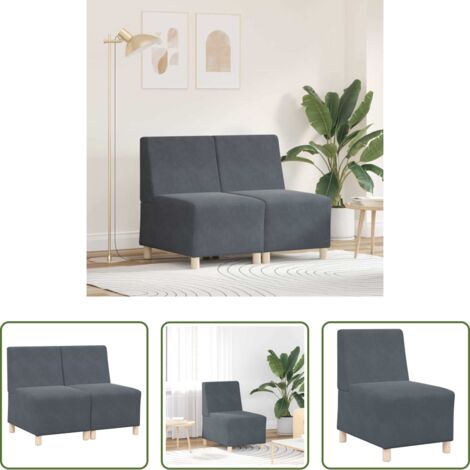 vidaXL Sofá moderno -  Unidad de Sofá Modular sin Brazos 2 pcs Gris oscuro