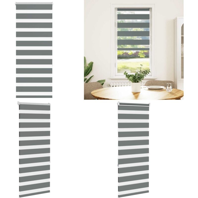 Vidaxl - Store zèbre gris foncé largeur du tissu 55,9 cm polyester