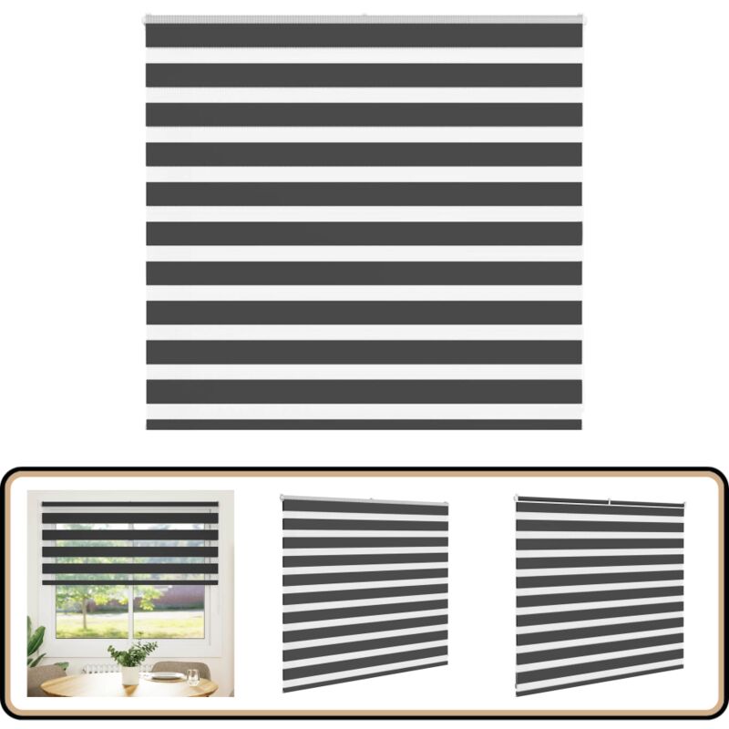 Vidaxl - Store zèbre noir 160x100 cm largeur du tissu 155,9 cm polyester