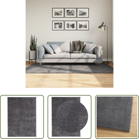 vidaXL Tappeto per casa -  Tappeto Pelo Corto HUARTE Morbido Lavabile Antracite 120x170 cm
