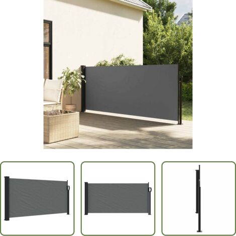 vidaXL Tenda retrattile -  Tenda da sole laterale retrattile antracite 100x300 cm