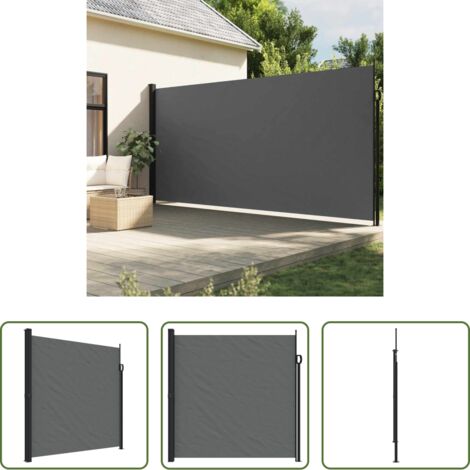 vidaXL Tenda retrattile - Tenda da sole laterale retrattile antracite 200x300 cm