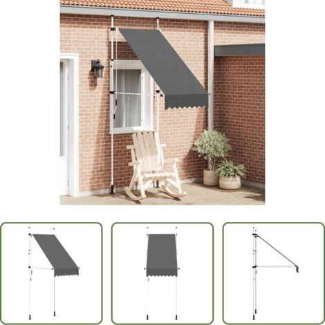 vidaXL Toldo de poliéster -  Toldo retráctil de operación manual gris antracita 100 cm