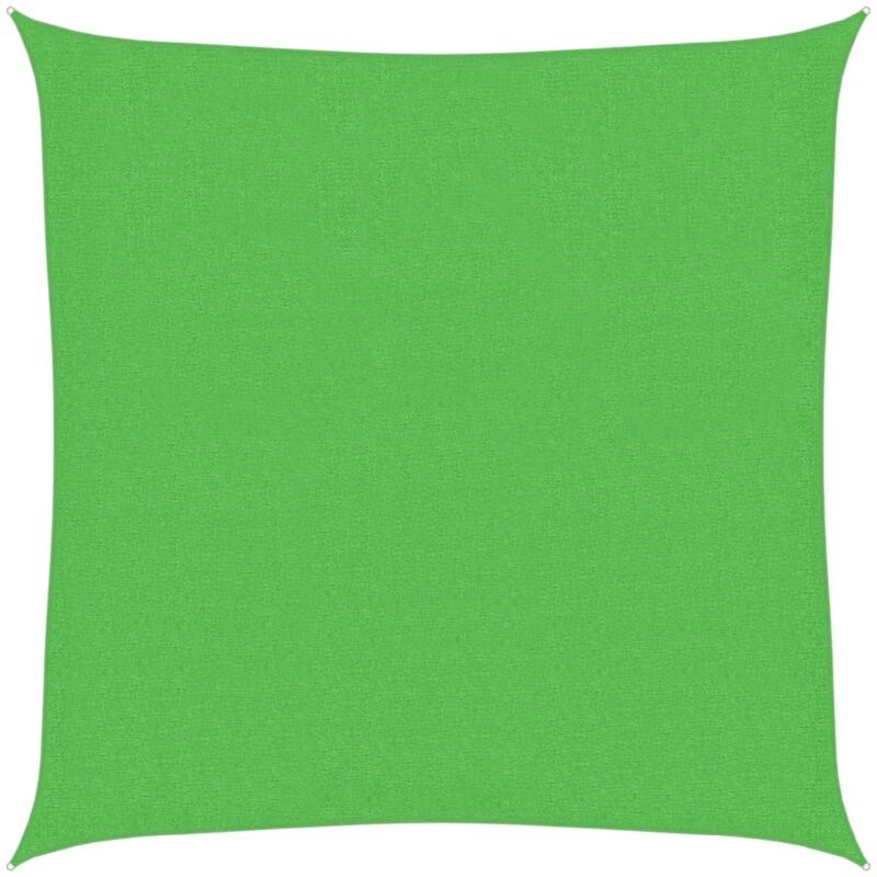 

Toldo de vela HDPE verde claro 160 g/m² 2,5x2,5 m - Verde - Vidaxl
