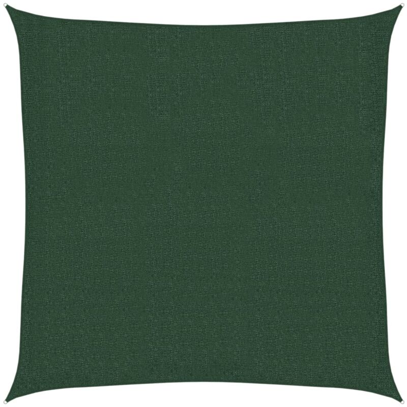 

Toldo de vela verde oscuro HDPE 160 g/m² 2x2 m - Verde - Vidaxl