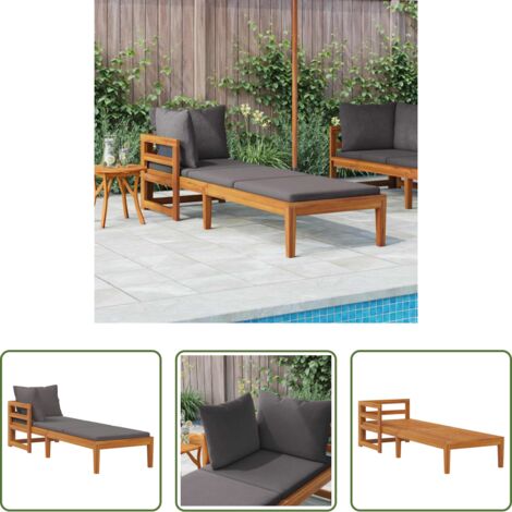 vidaXL Tumbona de acacia - Tumbona con 1 reposabrazos gris oscuro madera maciza acacia