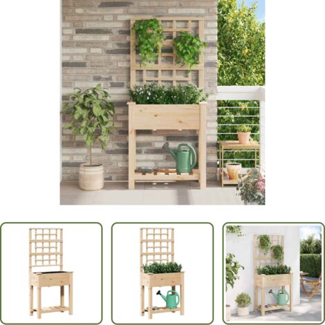 vidaXL Vaso esterno -  Vaso da giardino Beige 71 x 38 x 152 cm Legno di Abete Massello