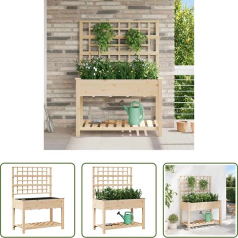 vidaXL Vaso esterno -  Vaso da giardino con lo scaffale Beige 115 x 60,5 x 153 cm