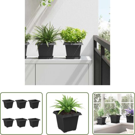 vidaXL Vaso in plastica - Vaso quadrato per fiori 6 pcs Nero 20 x 20 x 16 cm Plastica