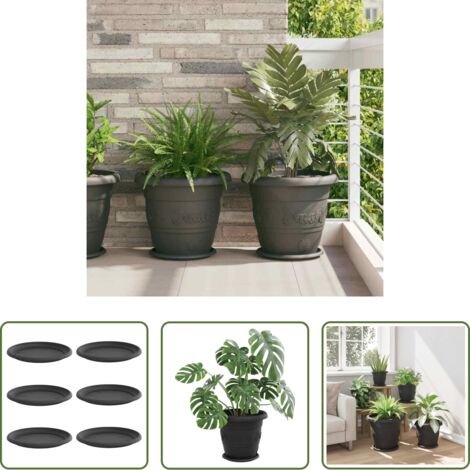 vidaXL Vassoio per piante -  Vassoio Rotondo per Fiori 6 pcs Nero Ø 14 x 2 cm Plastica