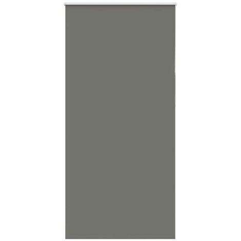 vidaXL Verdunkelungsrollo Grau 100x210cm Stoffbreite 95,7 cm Polyester