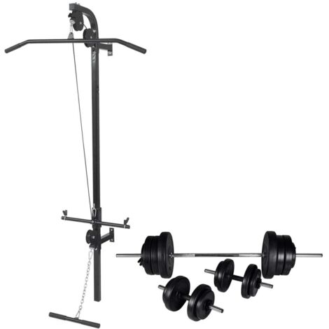 vidaXL Wandmuskeltrainingsstation mit Hantelset und 60,5 kg Gewichten