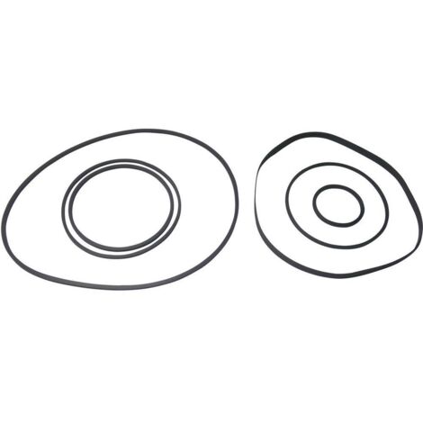 Video-Universal I Assortimento di cinghie