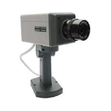Videocamera Finta motorizzata