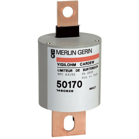 Vigilohm - auxiliaire Cartouche Cardew - type 1000V (50183)