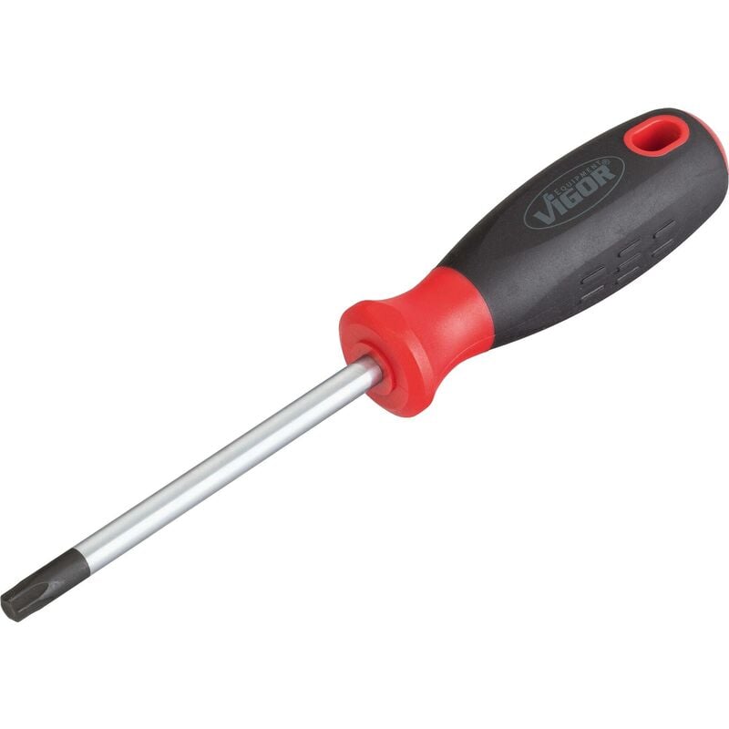 T screwdriver ∙ V3393 ∙ Profilo interno torx® ∙ Size T40