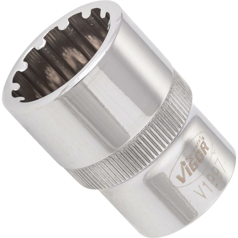 Socket with multi-purpose profile ∙ V1997 ∙ Attacco quadro, cavo, 1/2 di pollice (12,5 mm) ∙ Multiprofilo ∙ Size 19 mm