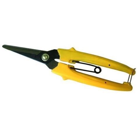 Vigor Forbici Cogliuva Lame Diritte mm. 170