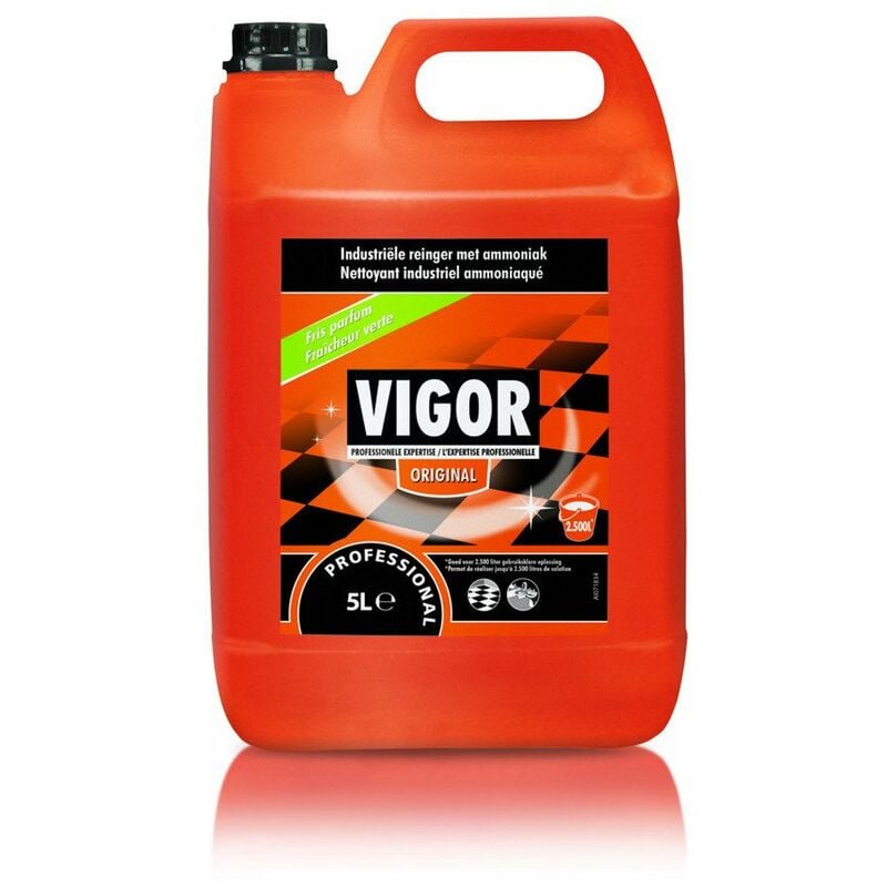 Vigor Nettoyant Sol 5 litres - VIGOR