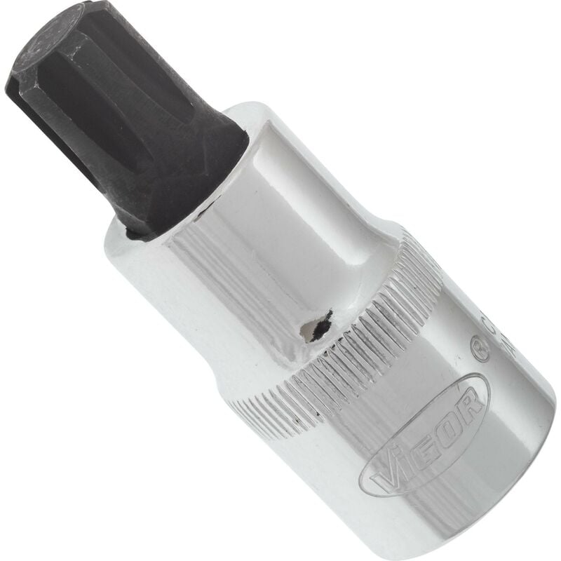 Ribe screwdriver socket ∙ V2208 ∙ Attacco quadro, cavo, 1/2 di pollice (12,5 mm) ∙ Profilo cuneo interno ribe cv ∙ Size M12