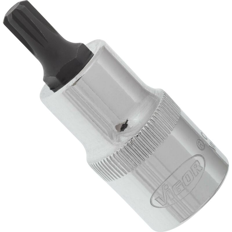 Ribe screwdriver socket ∙ V2204 ∙ Attacco quadro, cavo, 1/2 di pollice (12,5 mm) ∙ Profilo cuneo interno ribe cv ∙ Size M7