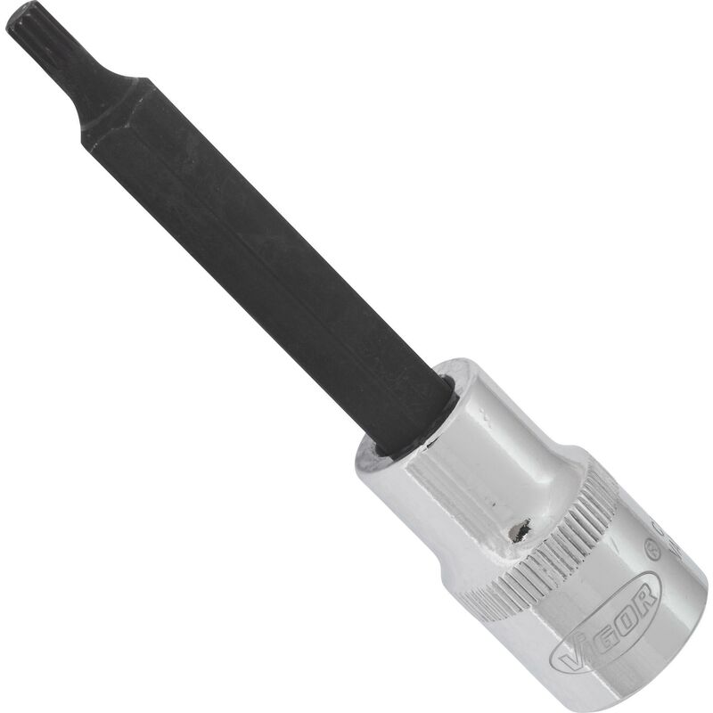 Screwdriver socket for screws with internal serration (xzn) ∙ V2066 ∙ Attacco quadro, cavo, 1/2 di pollice (12,5 mm) ∙ Profilo poligonale interno xzn