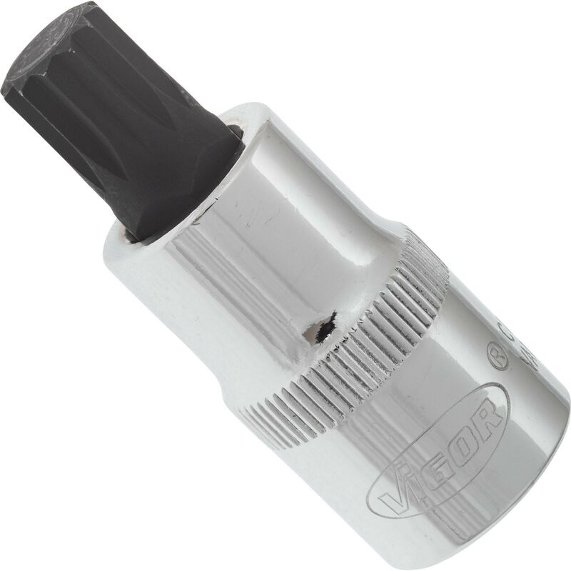 Screwdriver socket for screws with internal serration (xzn) ∙ V2099 ∙ Attacco quadro, cavo, 1/2 di pollice (12,5 mm) ∙ Profilo poligonale interno xzn