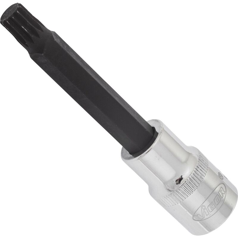Screwdriver socket for screws with internal serration (xzn) ∙ V2113 ∙ Attacco quadro, cavo, 1/2 di pollice (12,5 mm) ∙ Profilo poligonale interno xzn