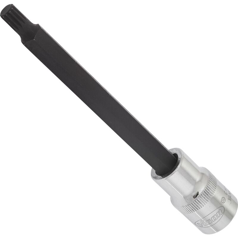 Screwdriver socket for screws with internal serration (xzn) ∙ V2123 ∙ Attacco quadro, cavo, 1/2 di pollice (12,5 mm) ∙ Profilo poligonale interno xzn