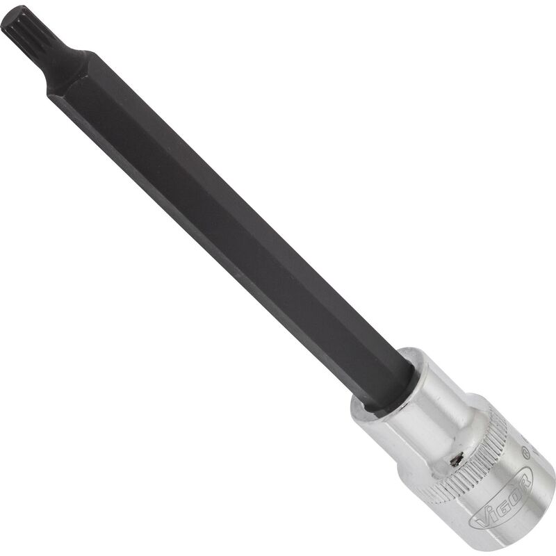 Vigor - Screwdriver socket for screws with internal serration (xzn) ∙ V2124 ∙ Attacco quadro, cavo, 1/2 di pollice (12,5 mm) ∙ Profilo poligonale