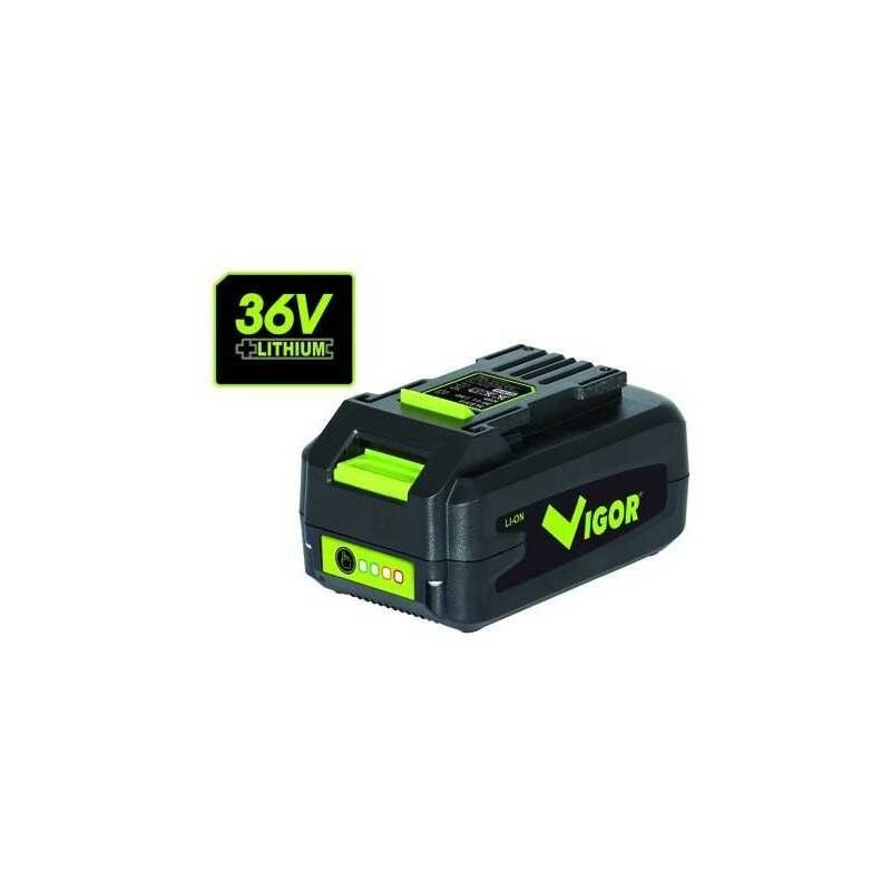 Lithium Série Vx Batterie Vx 36 Volt - Vigor