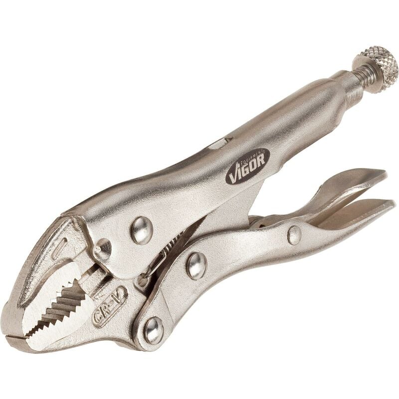 Vigor - Pince-étau à becs longs ∙ V1803 ∙ Longueur : 250 mm