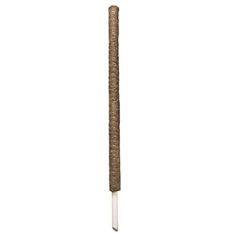 Vigor Tutore Muschiato per Rampicanti Diametro 5cm Altezza 100cm