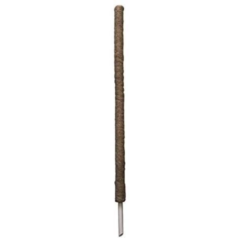 Vigor Tutore Muschiato per Rampicanti Diametro 5cm Altezza 120cm