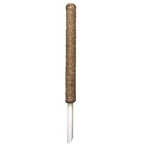 Vigor Tutore Muschiato per Rampicanti Diametro 5cm Altezza 60cm