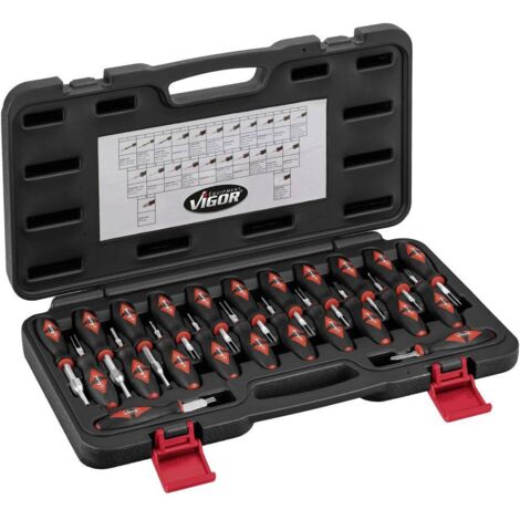 Vigor V4451 Set di strumenti per sblocco con cavo 23 pezzi