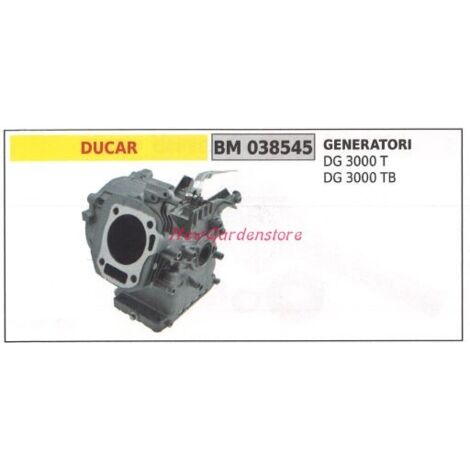 Vilebrequin moteur générateur DUCAR DG 300T 3000TB 038545