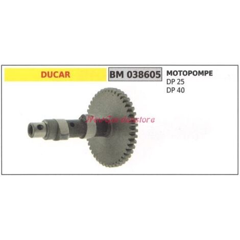 Vilebrequin moteur pompe DUCAR DP 25 40 038605