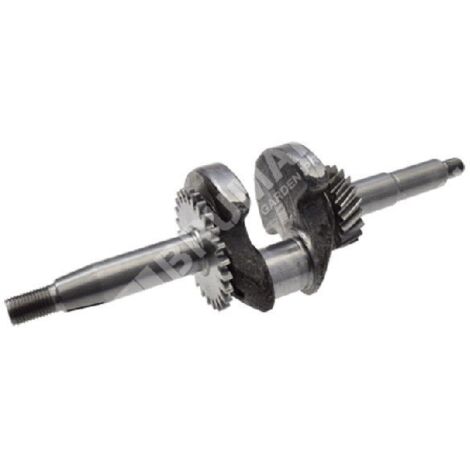 Vilebrequin pour motopompes DUCAR 210308 - 049586