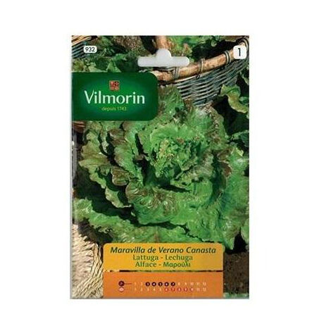 Vilmorin 7g Summer Wonder Life Seeds