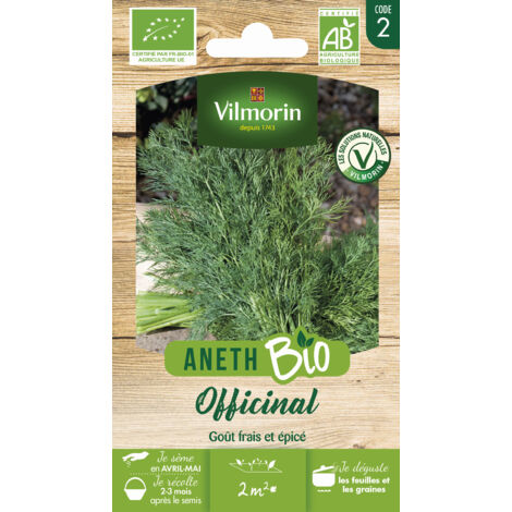 Vilmorin - Aneth à feuilles denses