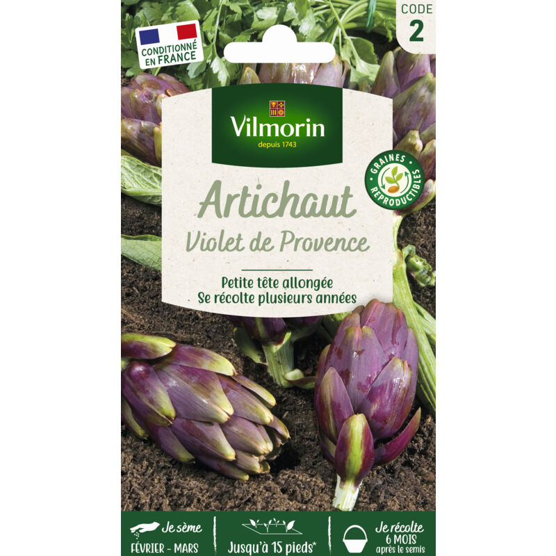 Artichaut Violet de Provence Vilmorin