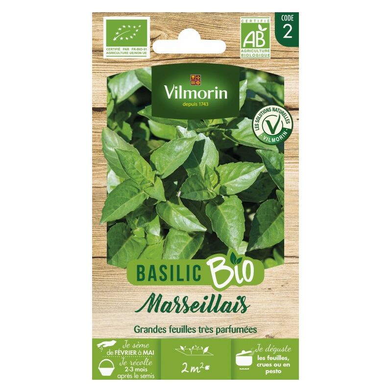 Basilic Marseillais Bio - Vilmorin
