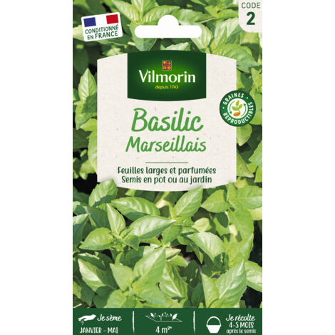 Vilmorin - Basilic Marseillais Extrêmement Parfumé