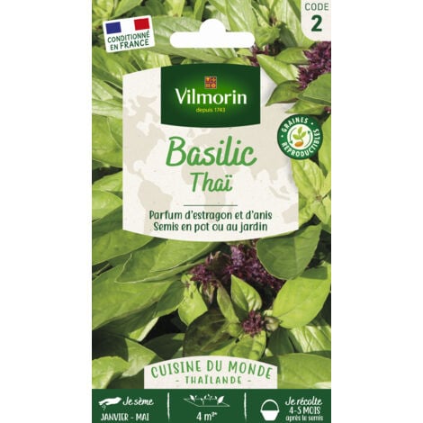 Vilmorin - Basilic Thai Vl 2 462