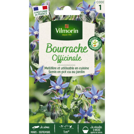 Vilmorin - Bourrache Officinale