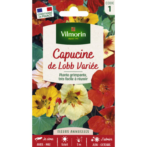 Capucine de Lobb variée – Grimpante jusqu'à 3 m – Fleurs jaunes et rouges – Semis d'Avril à Mai en pleine terre – Vilmorin