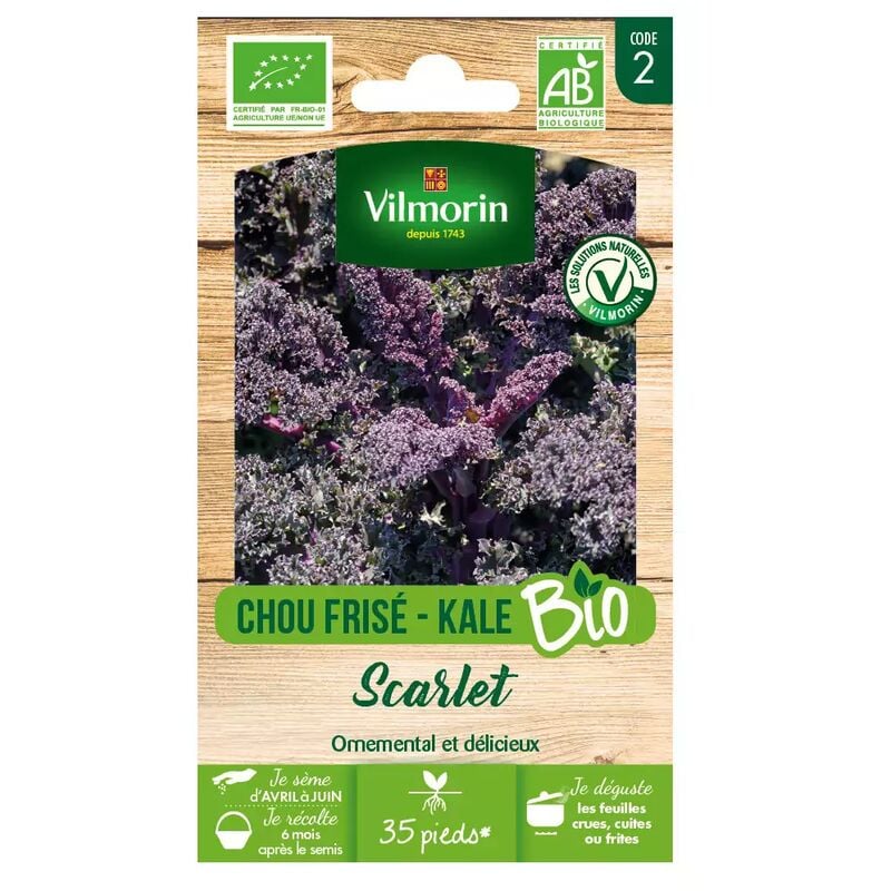 Vilmorin - Sachet de graines Chou Frisé ( Kale ) Rouge Scarlet bio